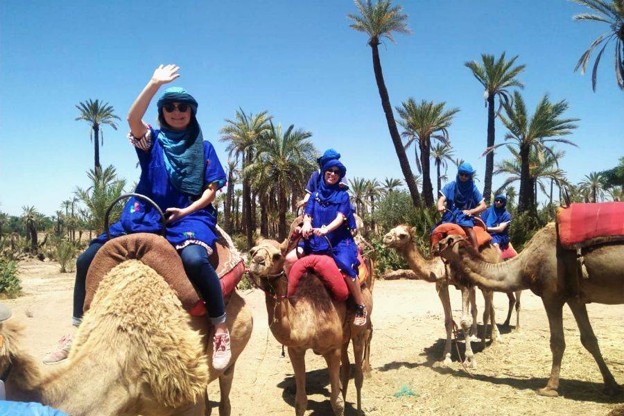 Катание на багги с адреналином и на верблюде в Palmeraie Marrakech
