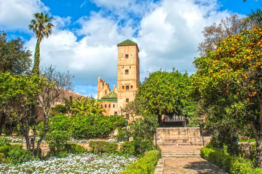 Индивидуальная однодневная поездка в Рабат из Касабланки