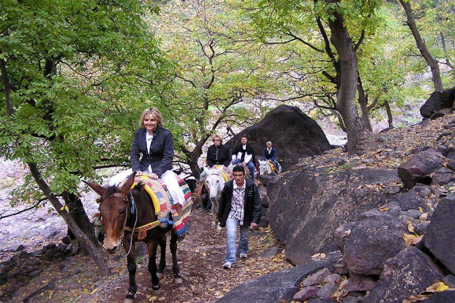 Гора Высокого Атласа Имлил с катанием на верблюдах и ужином в пустыне Агафай
